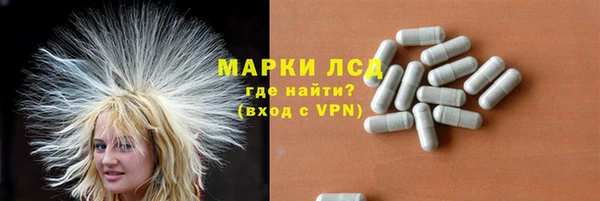 ПСИЛОЦИБИНОВЫЕ ГРИБЫ Алзамай