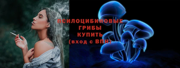 ПСИЛОЦИБИНОВЫЕ ГРИБЫ Алзамай