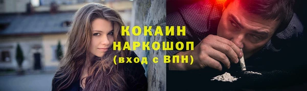 тгк Алексин