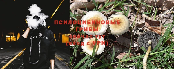 дурь Осташков