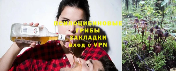 тгк Алексин
