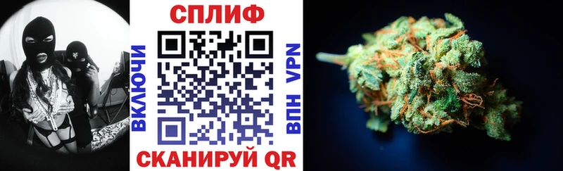 Конопля индика где купить Мураши